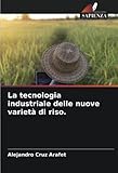 Edizioni Sapienza