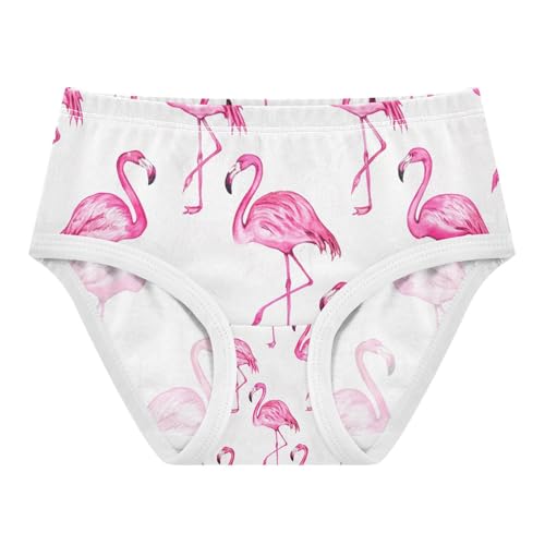 Pink Flamingo Toddler Girls's Underwear 2T 202c1383