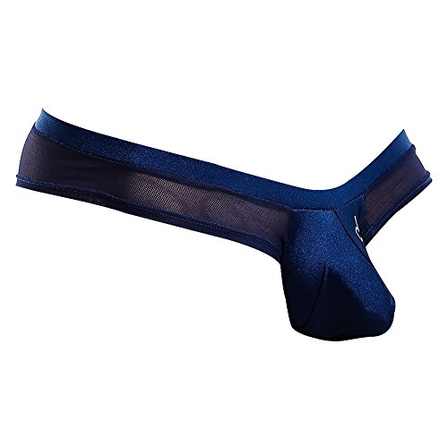 Daniel Alexander Mens Thong See Thru Underwear Soft Pouch Enhancing Low Waist Sexy Bikini Sheer