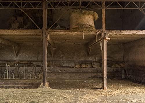 BELECO 10x8ft Fabric Western Farm Stable Barn Backdrop Hay Straw