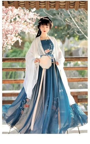 Women’s Chinese Traditional Costume Embroidered Wei Jin Dynasty Style Princess Dress for Folk Dance Performance3