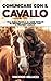 Comunicare con il cavallo: Una guida pratica su come entrare in sintonia e rapportarsi con il proprio cavallo