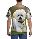 Zoom IMG-2 ayyqwe bichon frise dog on