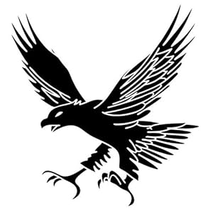 CHENZHANMAOYI 13.3×14.2CM Ferocious Eagle Vinyl Auto Sticker Wild Bird Car Styling Decal Accessoires Zwart/Zilver C9…