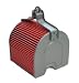 Hiflofiltro HFA1204 Premium OE Replacement Air Filter