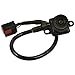 Standard Motor Products PAC25 Park Assist Camera