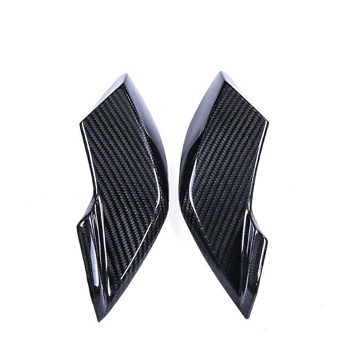 Panneau de protection latéral des phares carbone BMW S1000R