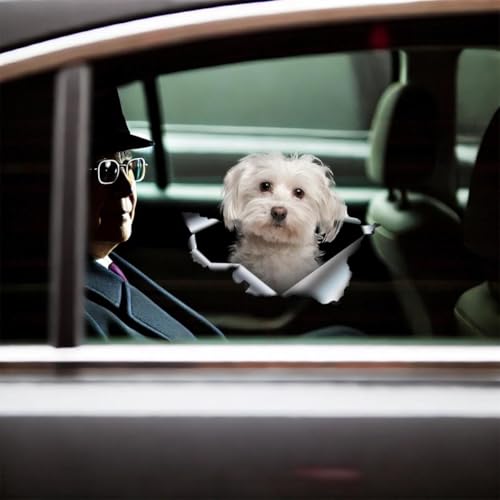 Image of Cute Dog Stickers for Car Window Decals Waterproof Funny Sticker (Maltese Car Sticker)