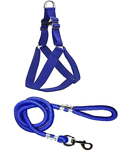 Senapati Dog Harness and Rope 15 MM Set (Blue, Medium) (B092ZVGLKQ) Amazon Price History, Amazon Price Tracker