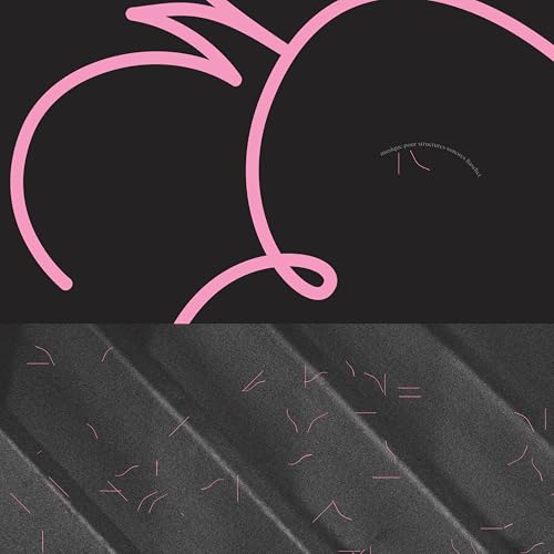 Musique Pour Structures Sonores Baschet [Vinyl]