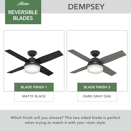 Image of Hunter Dempsey, Indoor, Ceiling Fan, Modern, 4 Blades, 44 inch, Matte Black
