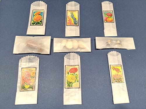 Mini bolsa de papel de cera de vidrio para evitar manchas de grasa en dulces 4