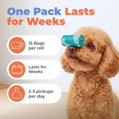 Image of Best Pet Supplies Dog Poop Bags for Waste Refuse Cleanup, Doggy Roll Replacements for Outdoor Puppy Walking and Travel, Leak Proof and Tear Resistant, Thick Plastic - Turquoise, 240 Bags