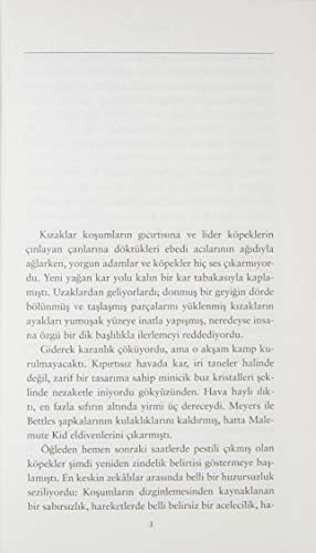 Bir Kuzey Macerası: Modern Klasikler Dizi 111 - Görsel 5