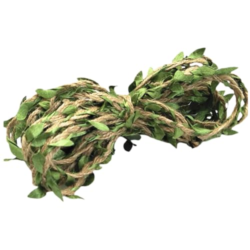 Ciieeo lH̉ԗ AK[h 10m FO[ Ǌ| p[eB[ptFX݂艺