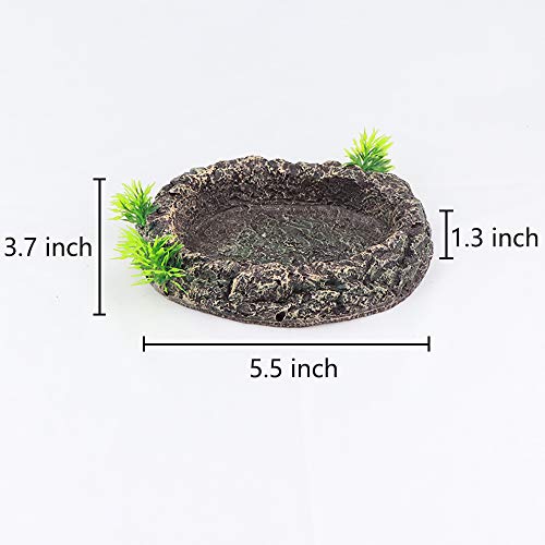 AQUA KT Amphibian Reptile Snake Worm Dish Water Food Bowl for Lizard Turtle Bearded Dragon Tank Accessory Terrarium… - Image 6