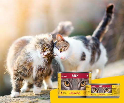 JOSERA Nassfutter Beef (12 x 85 g) | Adult | Premium Katzenfutter nass für ausgewachsene Katzen | Rind | mit Lachsöl | getreidefrei | gegen Harnsteinbildung und Haarballen | Alleinfutter | 12er Pack