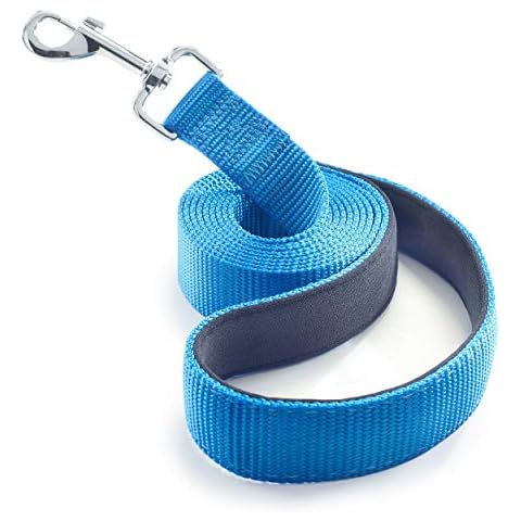 Dog Leash for Medium, Large and Small Dogs - 6 Foot Dog Leashes for Training and Daily Walks - Durable Sizes in Lightweight and Heavy Duty for Small and Large Breeds (1-Layer, Blue) Cover