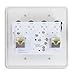 Wall CAT 5 Female White - Audio Over Shielded CAT Cable Wallplate and 3-way splitter. Capable of Sending Analog Audio, DMX, Clear-Com and AES