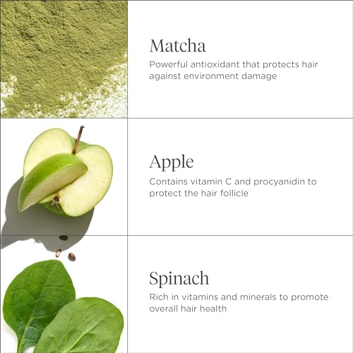Briogeo Superfoods Matcha + Apple Replenishing Shampoo, Supports Healthy, Balanced Hair and Scalp, Shampoo for All Hair Types and Textures, Enhances Shine, Vegan, Cruelty-Free, 2 fl oz - Thumbnail 3
