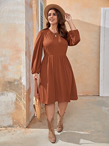 Shein Women's Plus Size Long Sleeve Hidden Pocket Casual A Line Midi Swing Dress Rust Brown Xx-Large Plus #TOP4