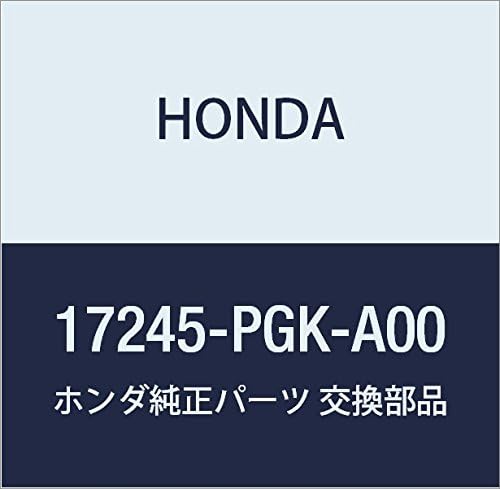 Genuine Honda 17245-PGK-A00 Air Cleaner Case Set