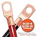 4 Gauge Wire (25ft Each - Red/Black) Copper Clad Aluminum CCA - Primary Automotive Wire,Battery Power/Ground Cable, 20PCS Lugs Terminal Connectors,20PCS 3:1 Heat Shrink Tubing with 100A ANL Fuse