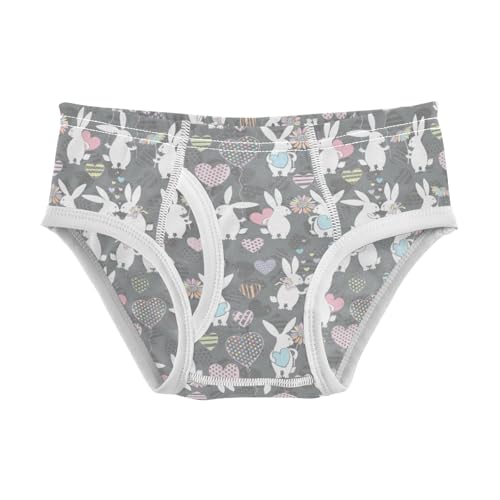 Boys' Exclusive Briefs Toddler Underwear 95% Combed Cotton Boxerbriefs 2T Bunny and Heart Pattern 9