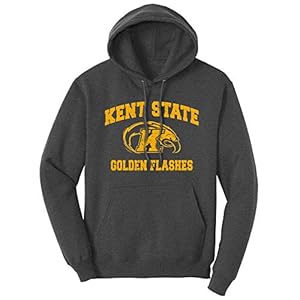Kent State Golden Flashes Retro Distressed Vintage Adult Unisex Lightweight Pullover Hoodie Sweatshirt (Kent State Char Heather, L)