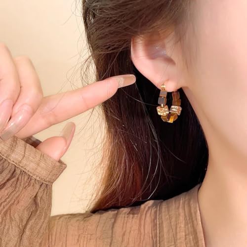 Boucles d'oreilles Œil de tigre légères pour un style rétro - 5