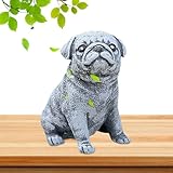 Occasions applicables : statues de chien carlin, figurine de chiot est idéale comme décoration idéale pour les maisons, les bureaux, les bibliothèques, les cafétérias, les cafétérias, les salons de thé et les hôtels.