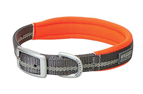 Collar para perro Terrain D.O.G con neopreno reflectante