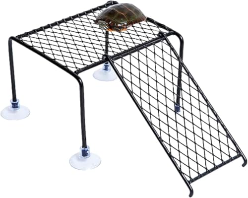 T   xe z ঒ Ȃڂ  ЂȂڂ  o ʒuR ঒/Tp ͋z (S)