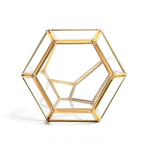 Gold Glass Geometric Terrarium With Door Handmade Irregular Terrarium Containers Desktop Succulents Terrarium Display Glass Moss Planter Decoration For Cactic Moss Indoor 10'' Height #TOP6