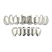 QTDS Gold 8 Top y 6 Parrillas Inferiores Conjunto Dientes Brillantes de Hip Hop (Color : Glossy Silver)
