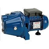  Speroni - Elettropompa autoadescante Cam 66-1 HP - 0,7 kw - MONOFASE 230 Volt Pompa irrigazione