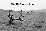 wasteland 3 pc  Wadi of Wasteland: Tales of Resilience and the Human Spirit (Echoes of Resilience) (English Edition)