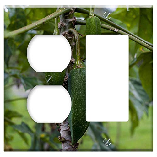 2-Gang, Outlet Rocker/GFCI Combination Wall Plate Cover - Babaco Food Leaf Fruit Nature Plant
