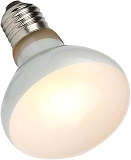 ORFOFE 1Pc Lâmpada De Calor De Tanque De Tartaruga Lâmpada De Calor De Lagarto Aquecedor De Pássaro Lâmpada De Calor De Tartaruga Aquecedor De Aquário Lâmpada De Calor Lâmpada Quente