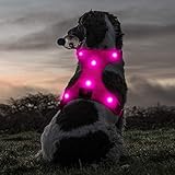 Ezier LED Lighted Dog Harness- Glow in The Dark No Pull Puppy Harness, Adjustable Soft Padded Reflective Dog Lights for Large Dogs Night Walking (Large, Rose Red)
