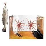 Weicher Köder, schwimmend, Seeigel, 2-teilig, weich, schwimmend, realistisch – Angelköder...