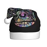 Chapeau de Père Noël pour le Nouvel An - Illuminati Fatima Hamsa - Œil qui voit