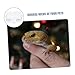 BESPORTBLE Reptile Water Dish and Feeding Bowl Dual-Purpose Feeder for Bearded Dragons Geckos and Snakes Easy to Clean Removable Design for Convenient Maintenance