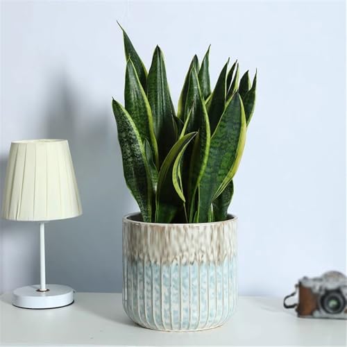 Pot de fleurs céramique avec trous de drainage pour pots de plantes 8.2"