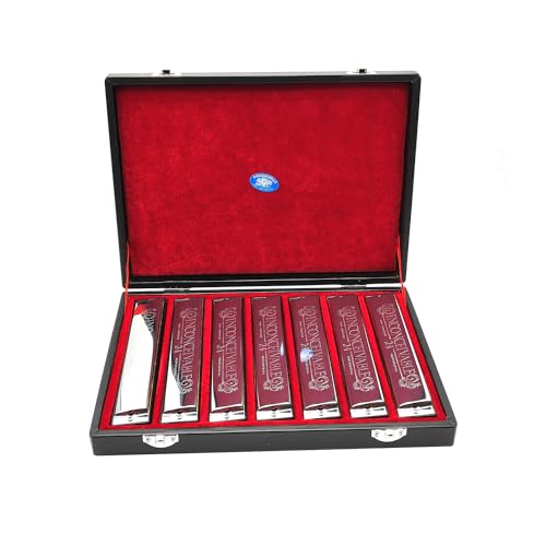 adiya Swan - Armonica polifonica a 24 fori, chiave in Do A/B/D/E/F/G, 7 tasti, set professionale