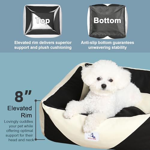 Image of Cotton Canvas Dog Bed, Cute Dog Beds for Small Dogs, Puppy Bed with Washable Removable Cover, Durable 290 GSM Cotton Anti-Chewing Pet Bed with Anti-Slip Bottom (24 inchx20 inchx8 inch, Black&White)
