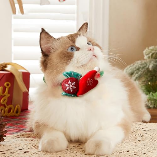 Collier de chat de Noël en peluche molle pour déguiser sans stress
