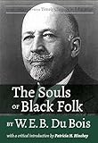 The Souls of Black Folk: With a Critical Introduction by Patricia H. Hinchey (Timely Classics in Education) - W. E. B. Du Bois Einleitung: Patricia H. Hinchey 