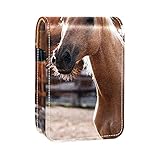 CADEAU MIGNON: Chaque mini étui à rouge à lèvres a de nombreux styles de mode et fonctions pratiques, ce serait un excellent cadeau pour les femmes et les filles