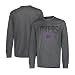 Los Angeles Lakers Men's T-Shirt Athletic Quick Dry Long Sleeve Tee Shirt, Large, Charcoal
